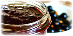 black currant concentrate bulk usa