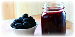 blackberry juice concentrate suppliers