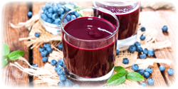 organic blueberry juice concentrate suppliers
