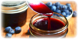 organic blueberry concentrate bulk usa