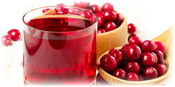 cranberry juice concentrate suppliers