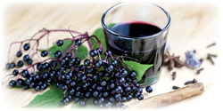 organic elderberry juice concentrate suppliers