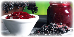 organic elderberry concentrate bulk usa