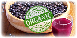 acai berry juice concentrate suppliers