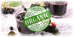 organic aronia berry juice concentrate