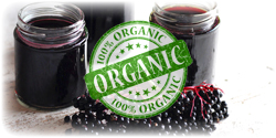 organic elderberry juice concentrate