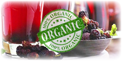 organic mulberry juice concentrate