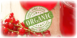 organic red currant juice concentrate