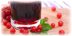 organic red currant juice concentrate suppliers